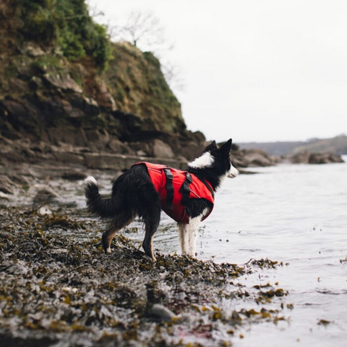 2024 Red Paddle Co Hund Auftriebshilfe - Rot